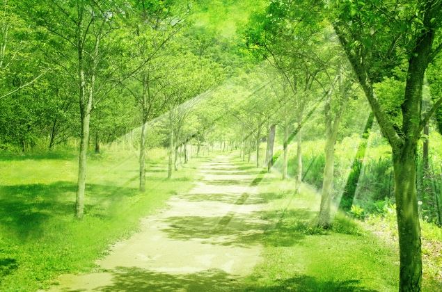 山口の当たる占い　中央運命学カウンセリングの木本題三武(きもといさむ)先生の画像