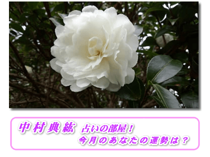 静岡の当たる占い　中村典紘鑑定所の画像