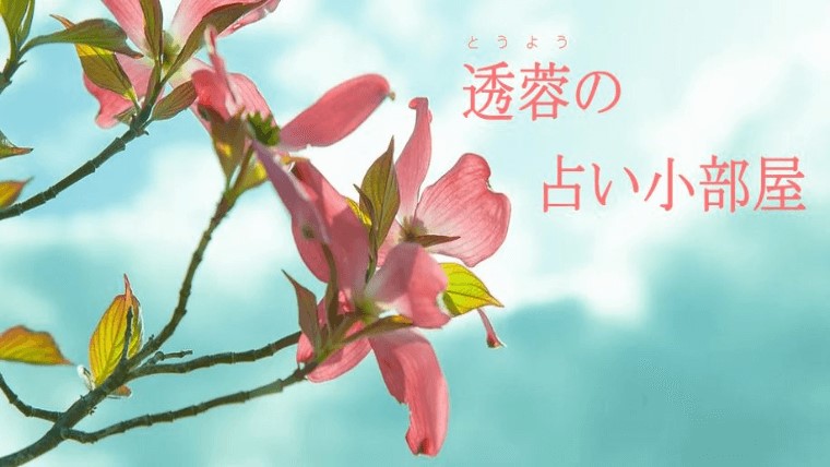 津山の当たる占い　透蓉（とうよう）の占い小部屋の画像
