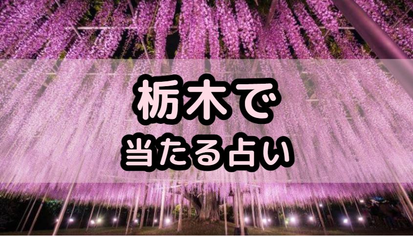 栃木で当たる占い（占い師）を紹介する記事の画像