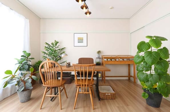 高崎の当たる人気の占い　Palm&Lines(パーム アンド ラインズ)の画像